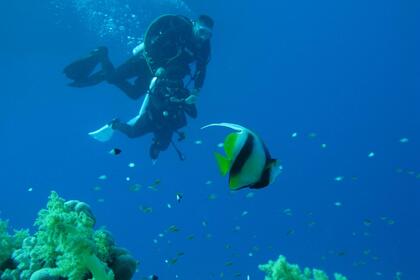 Jeanneau Sun Odyssey 45.2