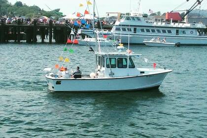 Charter Motorboat Motorboat 28′ custom Truro