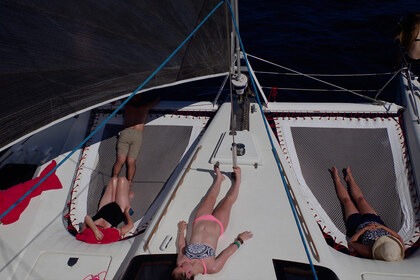 Location Catamaran Alliaura Marine Privilège 51 Ajaccio