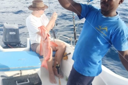 Rondleidingen en safari's in Panama