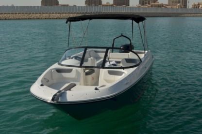 Charter Motorboat Bayliner E7 Szczecin