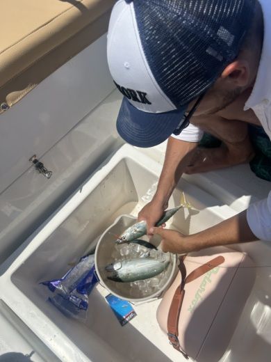 Фару Motorboat DIPOL 580 OPEN alt tag text