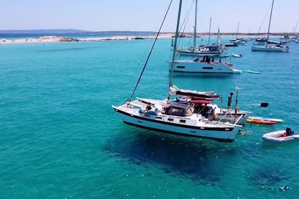 Rental Catamaran Wharram Tangaroa 37 Ibiza