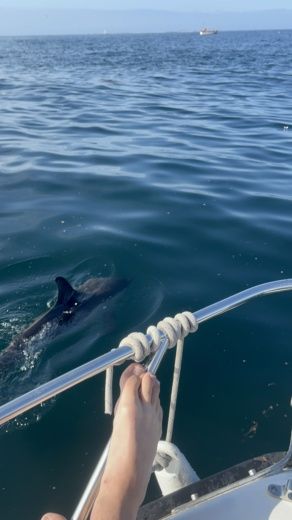 Forêt-Fouesnant Motorboat CAP FERRET B2 Marine 500 alt tag text