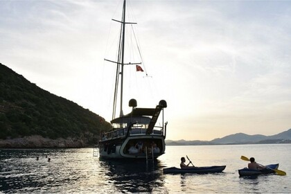 Goélette De Luxe Nostalgia