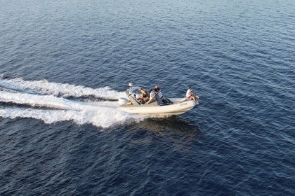 Rental RIB Shark 23 23 Zadar