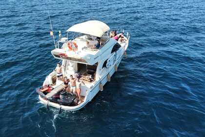 Hire Motorboat Rodman 44 Fly Marbella