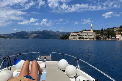 Panda  Jeanneau — Cap Camarat 6.5 Wa (2020)