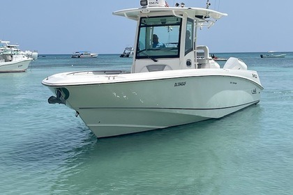 Miete Motorboot Boston Whaler OUTRAGER 32 Bayahibe
