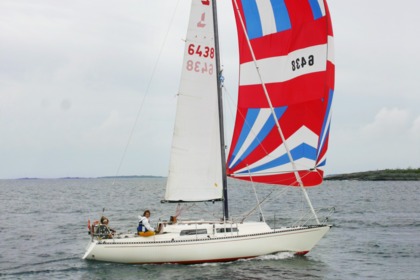 Location Voilier Linjettcharter Linjett 30 Norrtälje