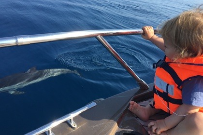 Cranchi Endurance 30 (2019)