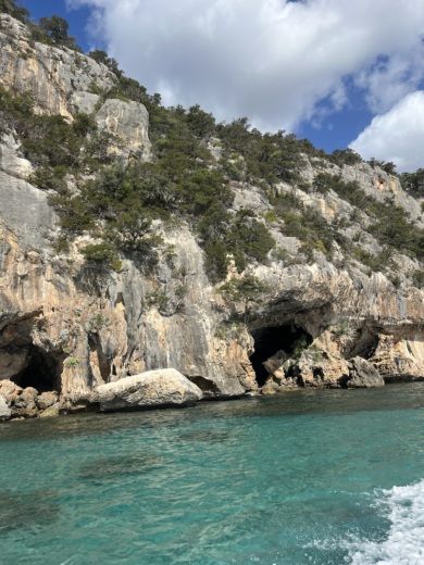 Кала Гононе Without license GEMMA LUXURY XXL alt tag text