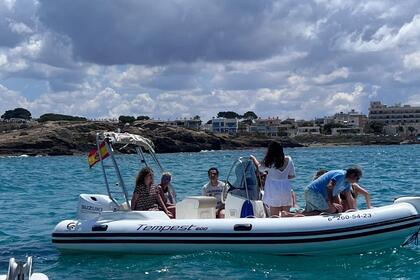 Hyra båt RIB-båt Capelli Tempest 600 Palma de Mallorca