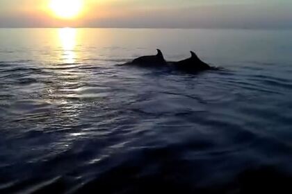 Location Bateau sans permis  ROTO 450 FAMILY Galéria