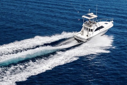 Hire Motorboat Luhrs Fishing Charter Private rentals & Fishing tours Mali Losinj