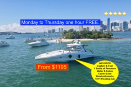 Rental Motorboat Sea Ray Sundancer 440 Miami