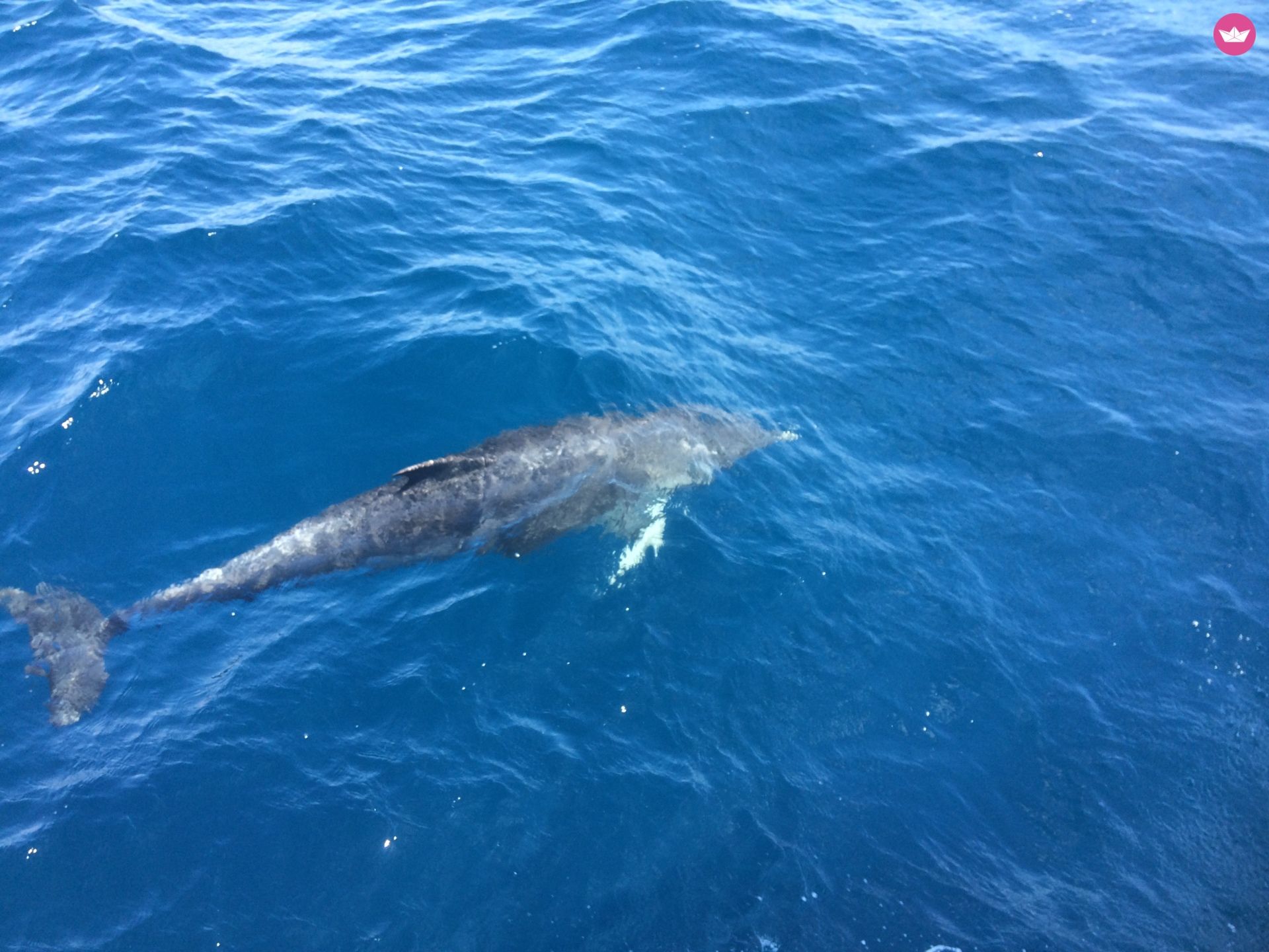 Charter sailboat in Athens  