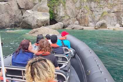 semirrigida 8 metros 300 cv