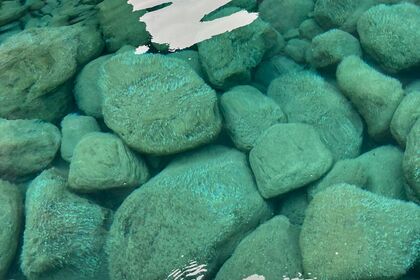 Sankalpa Eolie- rent with driver