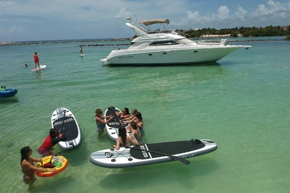 51' Sea Ray All Inclusive Charter