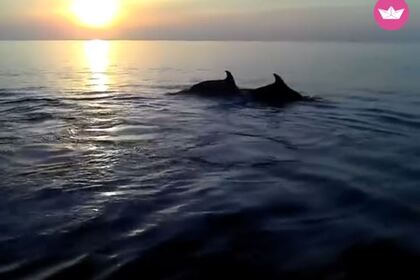 Czarter Łódź bez patentu  ROTO D.O.O ROTO 450 S FAMILY Galéria