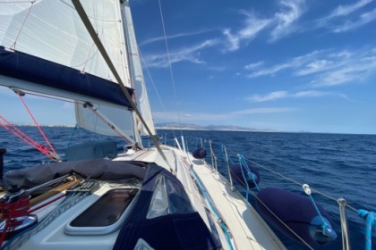 Radiki Bavaria 40