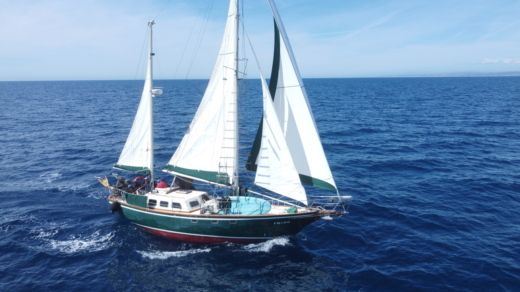 Belliure Endurance 35