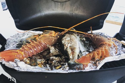 Geo, The top catamaran Lagoon 40 in the Tuscany area