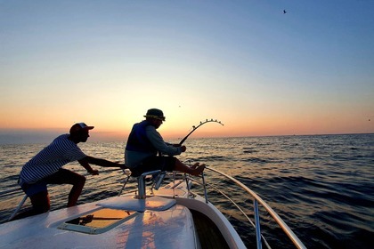 Hire Motorboat Faeton top moraga 840 Vrsar