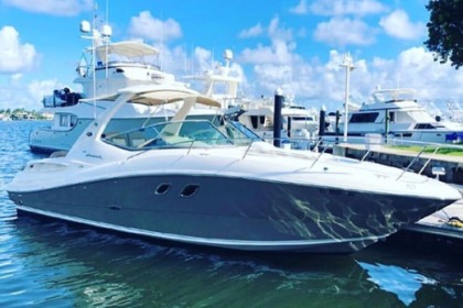 Charter Motorboat Searay 34 Miami