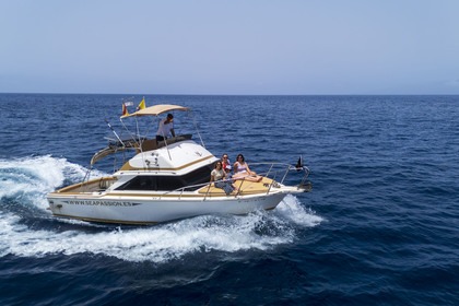 Charter Motorboat Etap Bertram 28 Flybridge Playa San Juan