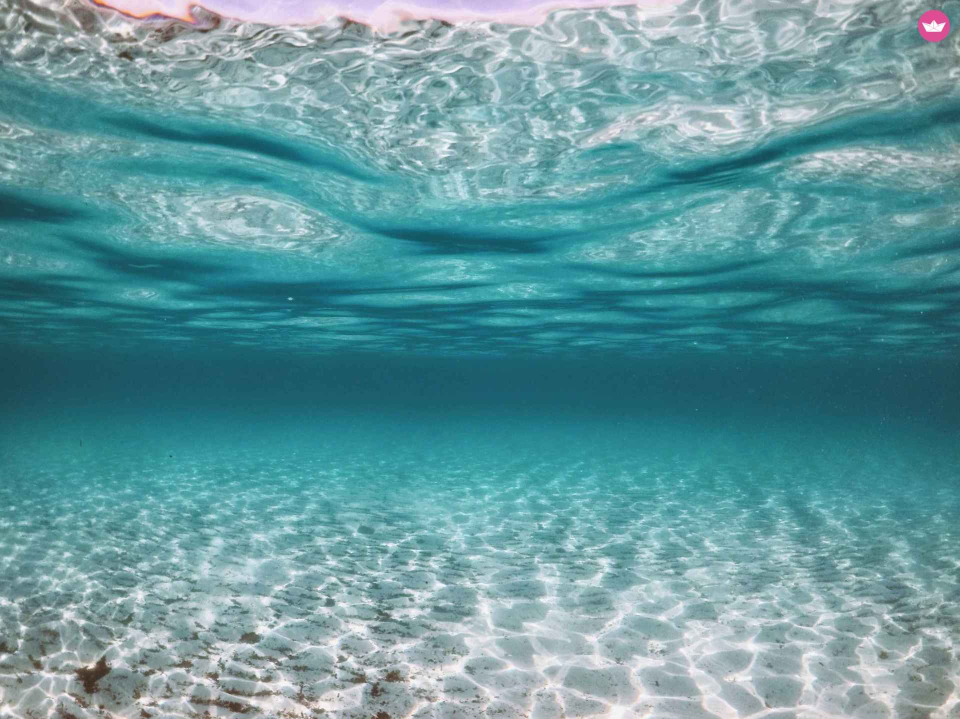 Łódź motorowa Prince 570 Open 140Ks Suzuki  