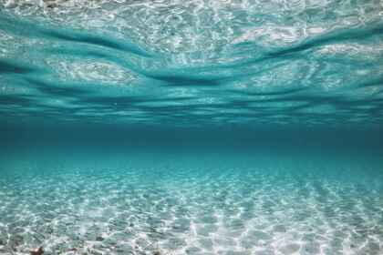 Prince 570 open Suzuki 140hp