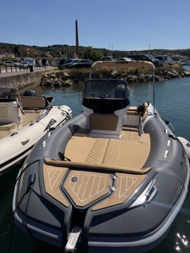 Salpa Soleil 20