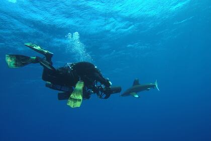 Snefro Pearl – 3 nights Dolphin Safari Cruise