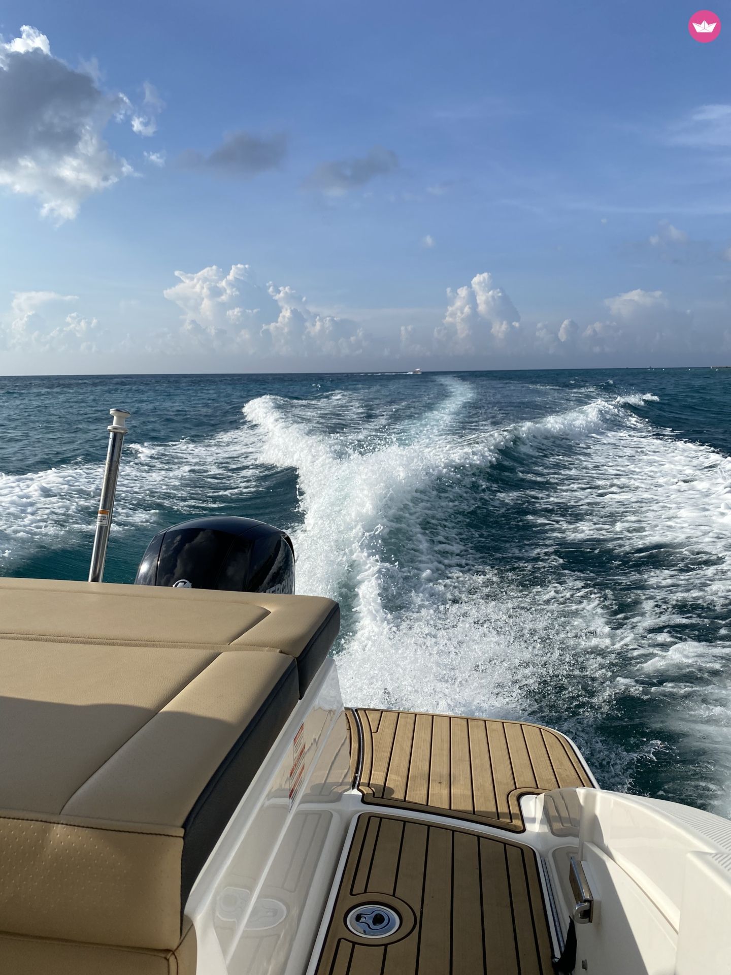 Bateau à moteur Sea Ray SPX 230 150cv 2