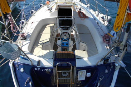 Noleggiare Cruiser 34