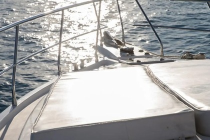 4 Hour, 60' Neptunus