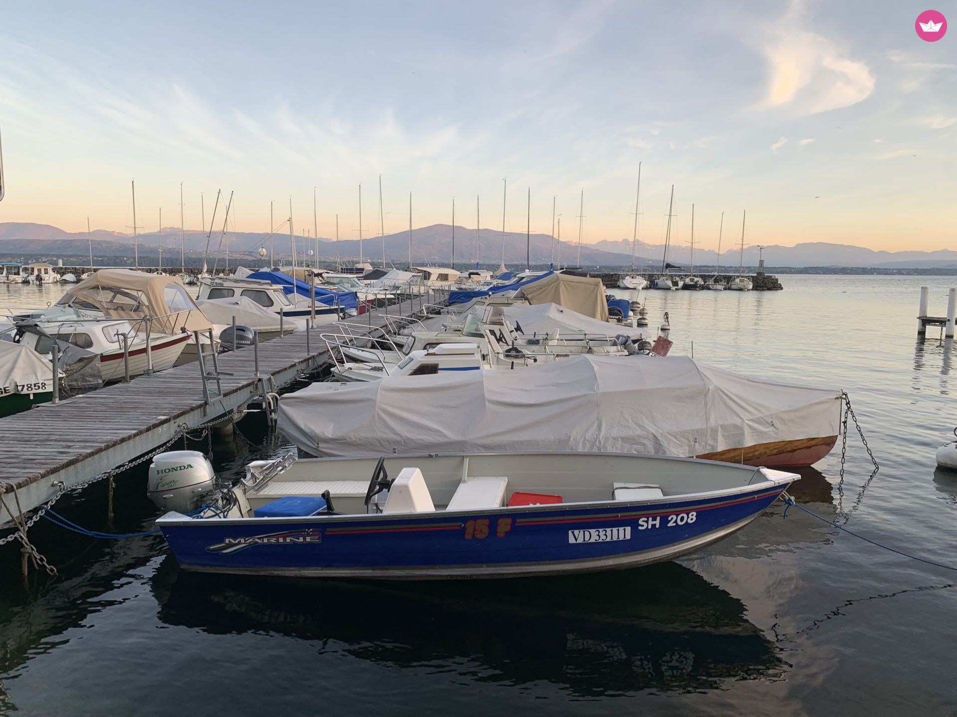 Bateau sans permis Marine F15 8cv