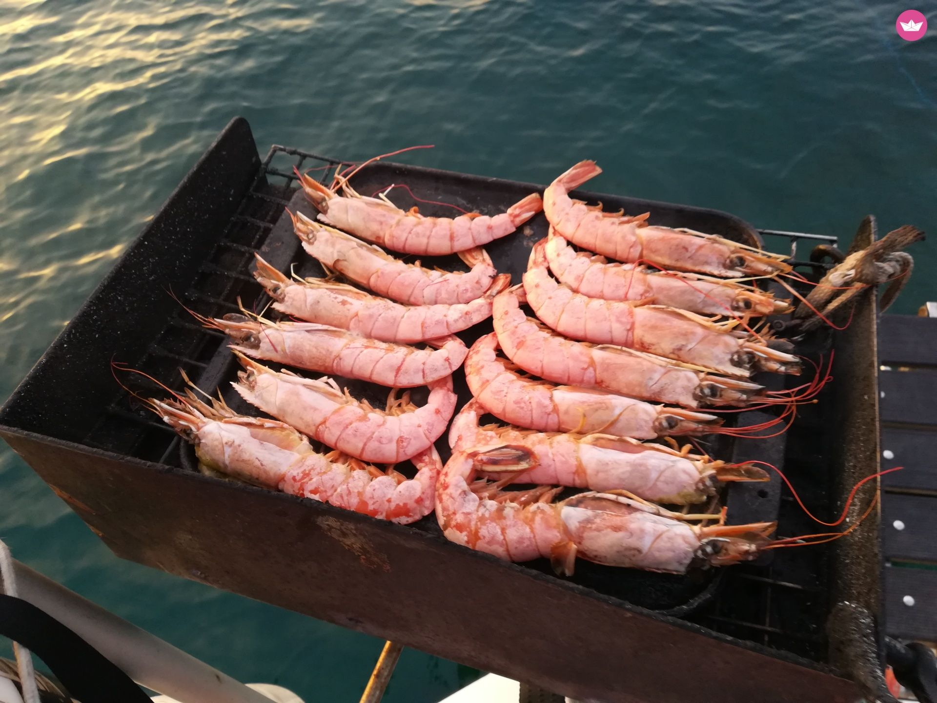 Voilier Jeanneau Sun-Fizz de particuliers et professionnels