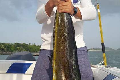 Proline Super Sport 27' - Taboga Island - Full-day private charter