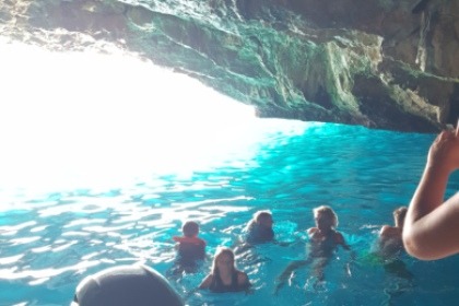 Quicksilver Commander 555