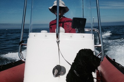 Location Semi-rigide ZEPPELIN 21VPro Mayenne