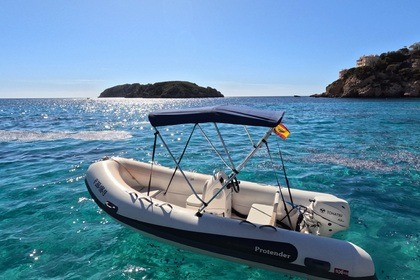 Miete RIB Protender 440 Santa Ponça