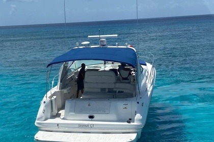 Sea Ray 41 Cozumel