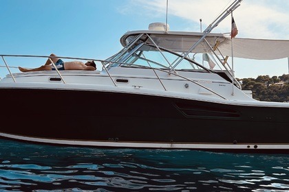 Verhuur Motorboot Pursuit 3400 "Express" Cannes