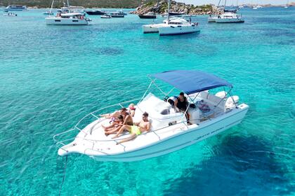 Alquiler Lancha white shark 268 Cc Palau