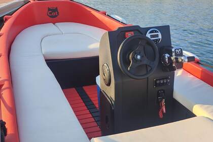 SkipperCat's WHALY - WITHOUT LICENCE