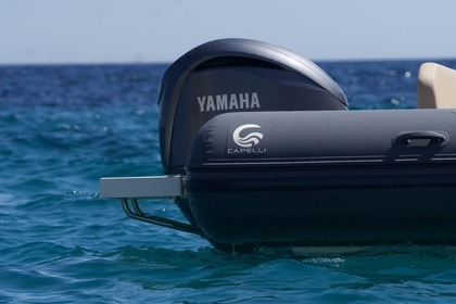 NOLEGGIO TEMPEST 900