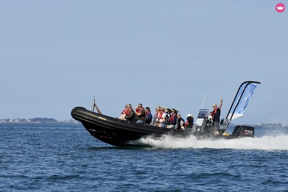 Charter RIB Humber Humber Offshore La Trinité-sur-Mer
